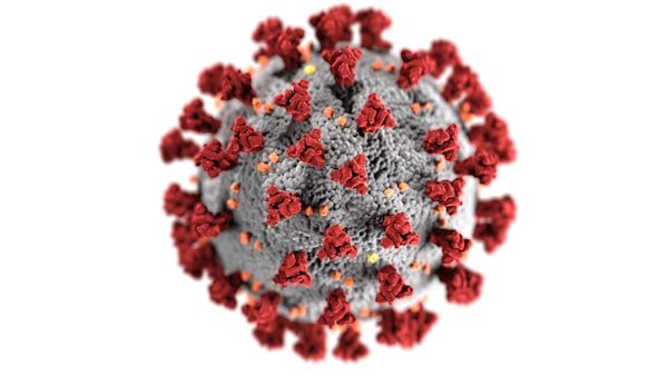Pruebas infecciosas